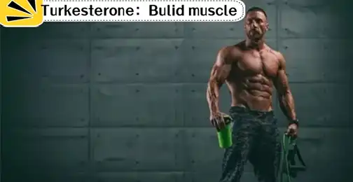 What Does Turkesterone Do?